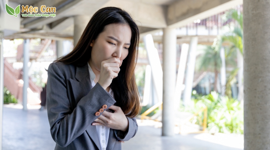 HÚNG QUẾ CHỮA ĐƯỢC NHỮNG BỆNH GÌ? 3